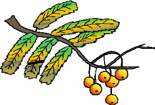 hoja-imagen-animada-0112