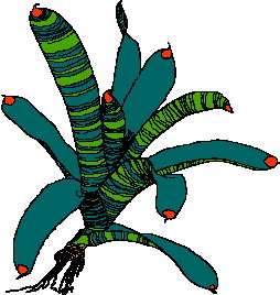 hoja-imagen-animada-0157