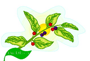 hoja-imagen-animada-0190