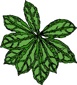 hoja-imagen-animada-0192