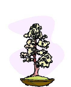 bonsai-imagen-animada-0002