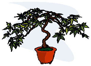 bonsai-imagen-animada-0017