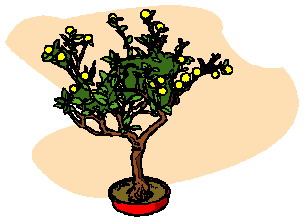 bonsai-imagen-animada-0020