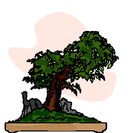 bonsai-imagen-animada-0022