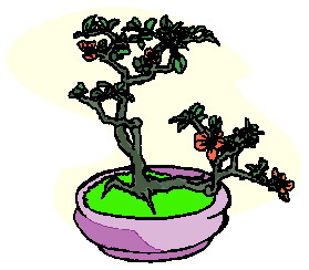 bonsai-imagen-animada-0026