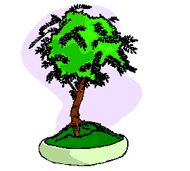 bonsai-imagen-animada-0027