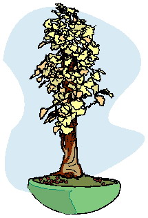 bonsai-imagen-animada-0028
