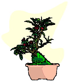 bonsai-imagen-animada-0043