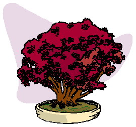 bonsai-imagen-animada-0044