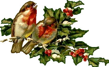 pajaro-de-navidad-imagen-animada-0005