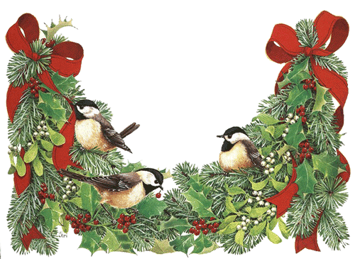 pajaro-de-navidad-imagen-animada-0014