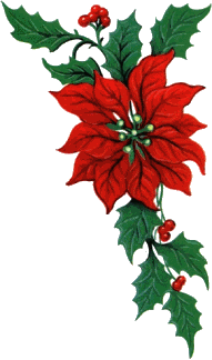 ▷ Flores de Navidad: Imágenes Animadas, Gifs y Animaciones ¡100% GRATIS! ▷ Flores de Navidad: Imágenes Animadas, Gifs y Animaciones ¡100% GRATIS!
