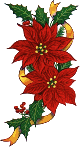 flor-de-navidad-imagen-animada-0016
