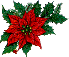 ▷ Flores de Navidad: Imágenes Animadas, Gifs y Animaciones ¡100% GRATIS! ▷ Flores de Navidad: Imágenes Animadas, Gifs y Animaciones ¡100% GRATIS!