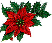 flor-de-navidad-imagen-animada-0027