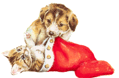 calcetin-y-media-de-navidad-imagen-animada-0018