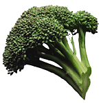 brocoli-imagen-animada-0014