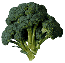 brocoli-imagen-animada-0015