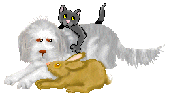 perro-y-gato-imagen-animada-0016
