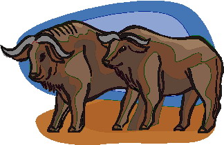 bufalo-imagen-animada-0014