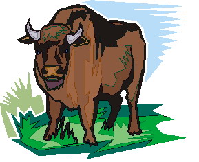 bufalo-imagen-animada-0059