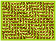 ilusion-optica-imagen-animada-0001