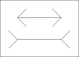 ilusion-optica-imagen-animada-0034