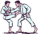 karate-imagen-animada-0053