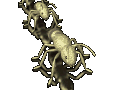 animal-imagen-animada-0034