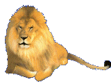 leon-imagen-animada-0104