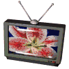 tv-y-television-imagen-animada-0004
