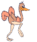 avestruz-imagen-animada-0005