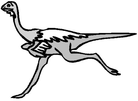 avestruz-imagen-animada-0027