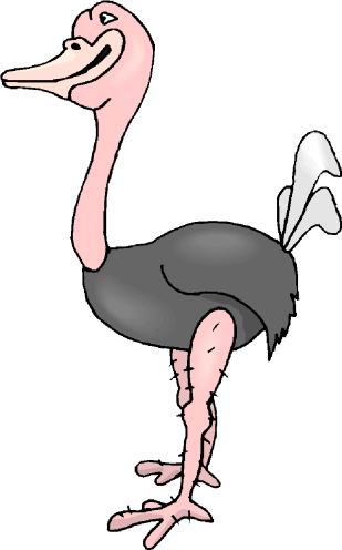 avestruz-imagen-animada-0031