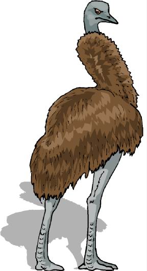 avestruz-imagen-animada-0049