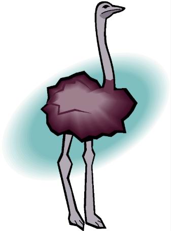avestruz-imagen-animada-0052