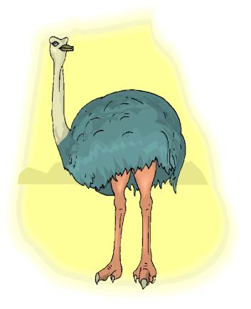 avestruz-imagen-animada-0091