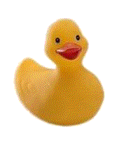 patito-de-goma-imagen-animada-0063