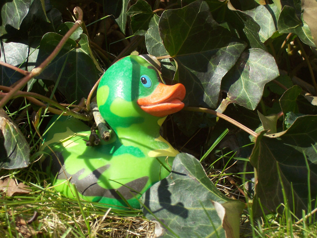 patito-de-goma-imagen-animada-0095