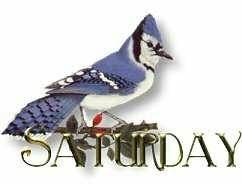 sabado-y-Saturday-imagen-animada-0038