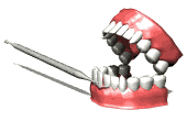diente-imagen-animada-0024