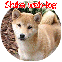 shiba-inu-imagen-animada-0014