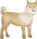 shiba-inu-imagen-animada-0038