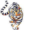 tigre-imagen-animada-0013