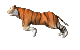 tigre-imagen-animada-0031