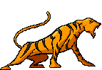 tigre-imagen-animada-0058