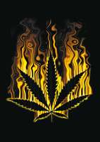 hierba-y-marihuana-imagen-animada-0007