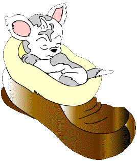 guino-y-parpadeo-imagen-animada-0022