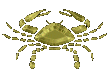 astrologia-imagen-animada-0199