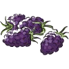 uva-imagen-animada-0002